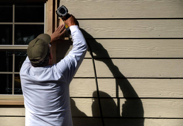 Best Insulated Siding Installation  in Plain City, OH